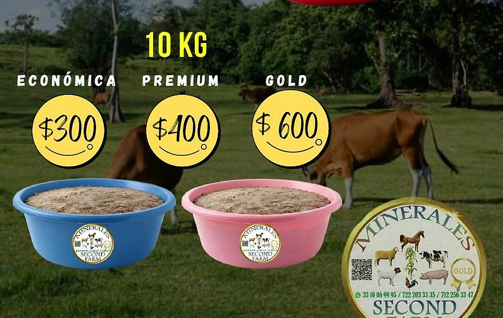 Tina mineral 10 kg