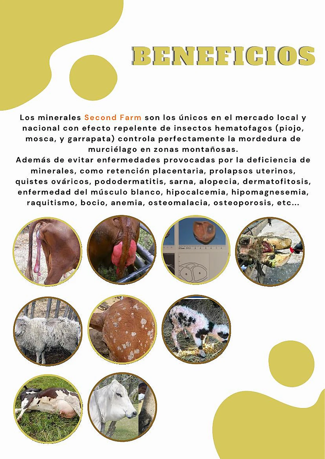 Núcleos Minerales Second Farm
