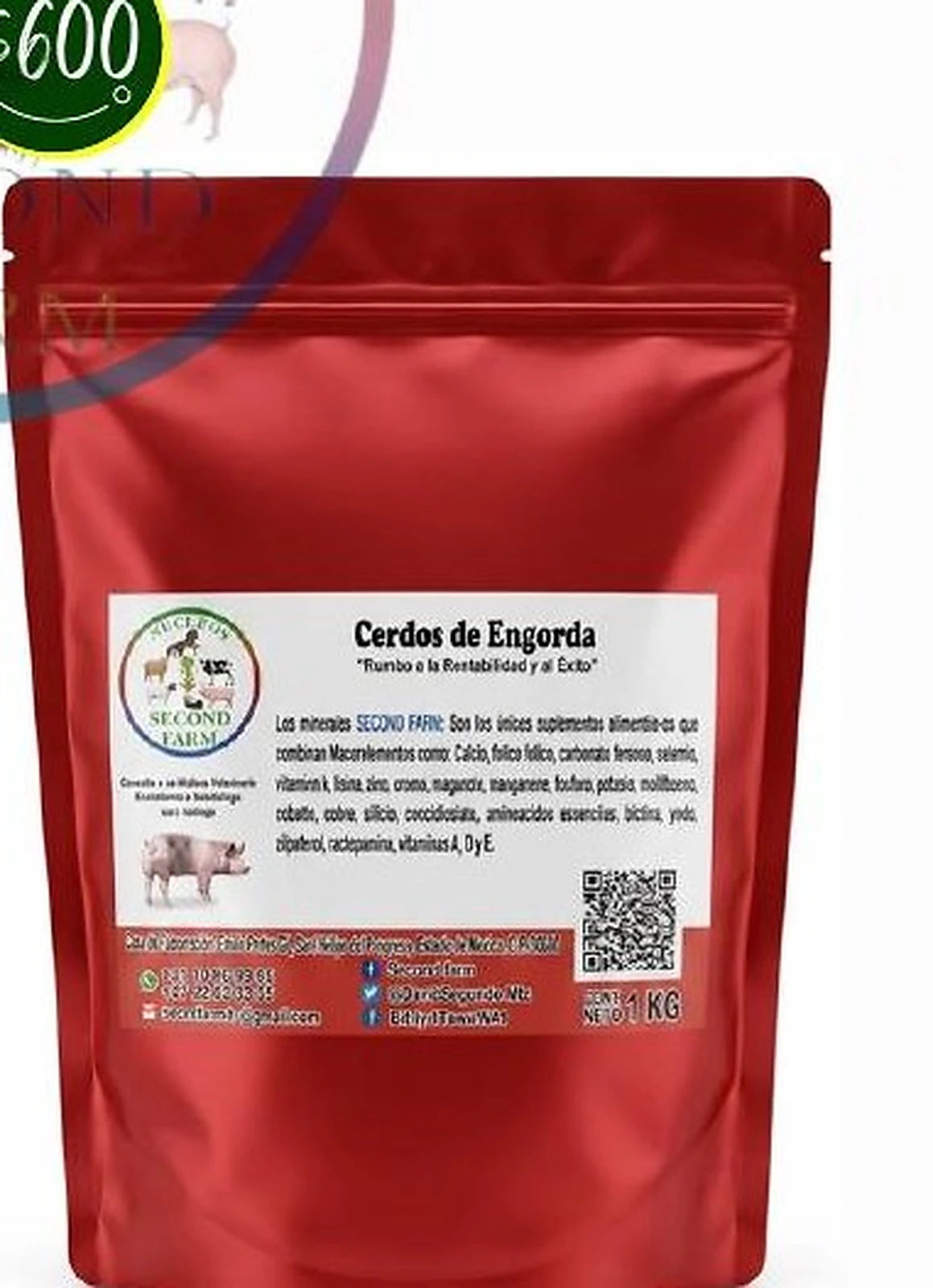 Cerdos de Engorda
