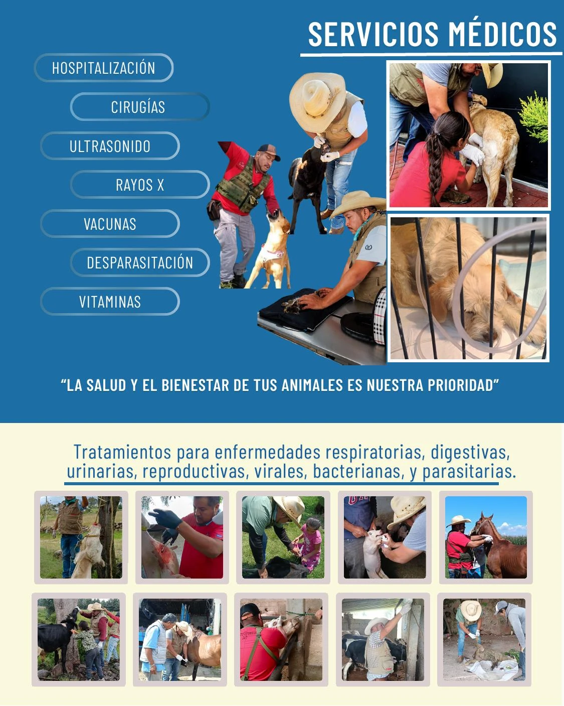 Servicios médicos